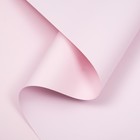 Пленка для цветов и букетов, тонированная, матовая, нежная сирень, 0.5×10 м, 65 мкм - Фото 1