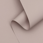 Пленка для цветов и букетов, тонированная, матовая, пепельно-пудровый, 0.5×10 м ±1 см, 65 мкм - Фото 1