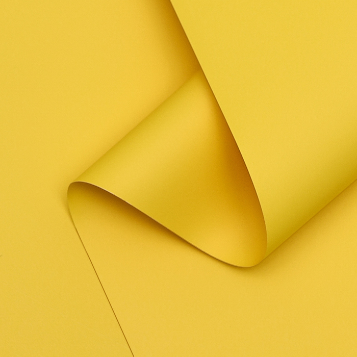 Пленка матовая, базовые цвета, желтая, 0,5 х 10 м, 65 мкм - Фото 1