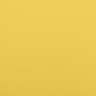 Пленка матовая, базовые цвета, желтая, 0,5 х 10 м, 65 мкм - Фото 4