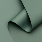 Пленка матовая, базовые цвета, серо-зелёный, 0,5 х 10 м, 65 мкм - фото 2267664