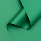 Пленка матовая, базовые цвета, зелёная, 0,5 х 10 м, 65 мкм - фото 319513258