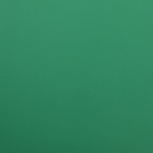 Пленка матовая для цветов и букетов, базовые цвета, зелёная, 0.5×10 м, 65 мкм - Фото 4