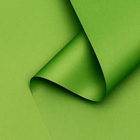 Пленка матовая, неоновые цвета, зелёная, 0,5 х 10 м, 65 мкм - фото 319513265