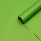 Пленка матовая, неоновые цвета, зелёная, 0,5 х 10 м, 65 мкм - Фото 2