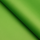 Пленка матовая, неоновые цвета, зелёная, 0,5 х 10 м, 65 мкм - Фото 3