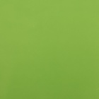 Пленка матовая, неоновые цвета, зелёная, 0.5×10 м, 65 мкм - Фото 4