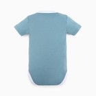 Боди детский, цвет серо-цвет голубой, панда, рост 62 см - фото 53946871