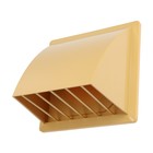 Выход стенной ZEIN, 170 х 170 мм, d=100 мм, с обратным клапаном, бежевый - фото 22268801