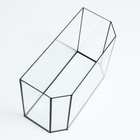 Комплект аквариумов «Матрешка» - 5 шт., Панорамные с крышками, 15 л, 20 л, 25 л, 30 л, 40 л - Фото 7