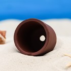 Декор керамический для аквариума "Укрытие для креветок", 4 х 3,9 х 3,9 см, коричневый - фото 39077575