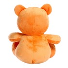 Мягкая игрушка «Мишутка», 30 см - фото 25546841