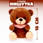 Мягкая игрушка «Мишутка в платке», цвета МИКС 9417612 - фото 10546628