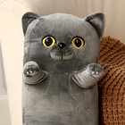 Мягкая игрушка-подушка «Кот», 70 см, цвет серый - фото 4380894