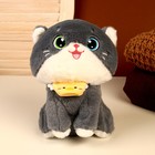 Мягкая игрушка «Кот», размер 21 см, цвет серый - фото 2781345