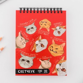 Скетчбук «Коты», твердая обложка, формат А6, 80 листов, плотность 100 г/м, белизна 100% .