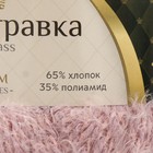 Пряжа "Хлопок травка" 65% хлопок 35% полиамид 220м/100гр (067 пудра) 9695323 - фото 14057012