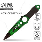 Деревянное оружие, детское сувенирное «Дракон», нож скелетный, 21×4 см - Фото 1
