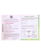 Рабочая тетрадь «Окружающий мир» 1 класс, 1 часть, Плешаков А.А. - Фото 4