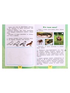 Рабочая тетрадь «Окружающий мир» 1 класс, 1 часть, Плешаков А.А. - Фото 5