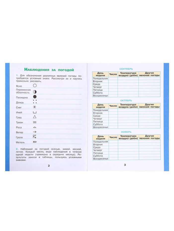 Рабочая тетрадь «Окружающий мир», 2 класс, часть 1, Плешаков А. А., 2024 год 9691967