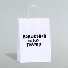 Пакет подарочный «Волшебная на всю голову», 24 х 10,5 х 32 см, 1 шт - фото 24318447