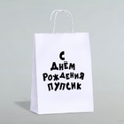Пакет подарочный с приколами, крафт «Пупсик», белый, 24 х 10,5 х 32 см, 1 шт - Фото 1