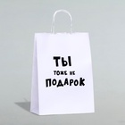 Пакет подарочный с приколами «Ты тоже не подарок», 24?10.5?32 см, 1 шт. (комплект 2 шт) - фото 33169457