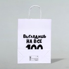 Пакет подарочный «Выглядишь на все 100», 24×14×28 см - Фото 3