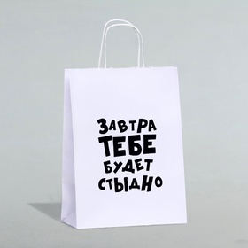 Пакет подарочный «Завтра тебе будет стыдно», 24×10.5×32 см, 1 шт.