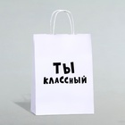 Пакет подарочный «Ты классный», 24 х 10,5 х 32 см, 1 шт 9670373 - фото 10547852