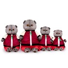 Мягкая игрушка «Басик в спортивной курточке и штанах», 30 см - фото 24679233