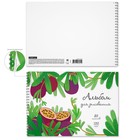 Альбом для рисования А4, 30 листов на спирали, ErichKrause Juicy Fruits, блок 120 г/м², 100% белизна, перфорация для отрыва, твёрдая подложка - Фото 2