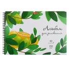 Альбом для рисования А4, 40 листов на спирали, ErichKrause Juicy Fruits, плотность 120 г/м², микроперфорация для отрыва - Фото 1