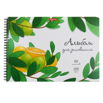 Альбом для рисования А4, 40 листов на спирали, ErichKrause Juicy Fruits, плотность 120 г/м², микроперфорация для отрыва