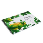 Альбом для рисования А4, 40 листов на спирали, ErichKrause Juicy Fruits, плотность 120 г/м², микроперфорация для отрыва - Фото 2