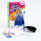 УЦЕНКА Набор для опытов «Чудесные кристаллы», принцесса - Фото 6