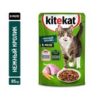 Влажный корм KiteKat для кошек, нежный кролик в желе, 85 г - Фото 1