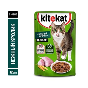 Влажный корм KiteKat  для кошек, нежный кролик в желе, 85 г 9527337