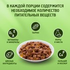 Влажный корм KiteKat для кошек, нежный кролик в желе, 85 г - Фото 5