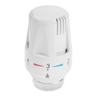 Термостатическая головка ZEIN, М30×1.5 9764409