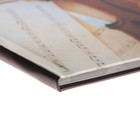 Дневник для музыкальной школы, "Скрипка. АРТ", интегральная (гибкая) обложка, матовая ламинация, выборочный лак, 48 листов - Фото 3