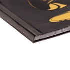 Дневник для музыкальной школы, "Пластинка колорит ", интегральная (гибкая) обложка, глянцевая ламинация, 48 листов - Фото 3