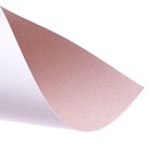 Картон белый А4 10 листов, Calligrata, 200 г/м2, немелованный, односторонний, в папке - Фото 3