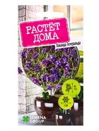 Семена Лаванда Эсмеральда 0,05 г - Фото 1