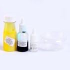 Химические опыты 2 в 1 «Волшебный лизун и Кристаллический коралл» - фото 24509367