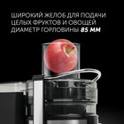 Соковыжималка Polaris PEA 1535AL, центробежная, 1500 Вт, 1.1/2.5 л, 18000 об/мин, чёрная - фото 51340273