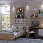 Картина по номерам 30 × 40 см «Геншин» «Тарталья и Чжун-ли» 28 цветов - фото 22273923