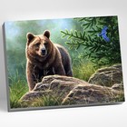 Картина по номерам «Сибирский бурый медведь», 40 × 50 см, 20 цветов - фото 303049512