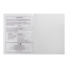 Дневник школьный для 1-11 классов "Моя Вселенная", выборочный УФ-лак, многоуровневый конгрев, печать по фольге, матовая ламинация, интегральная обложка мелованный картон, 48 листов, 65 г/м2, универсальная шпаргалка - фото 25275270